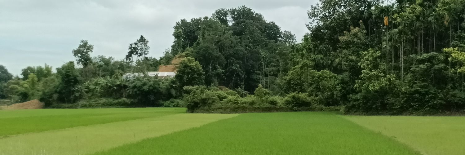 AnwarTahoor's profile banner image