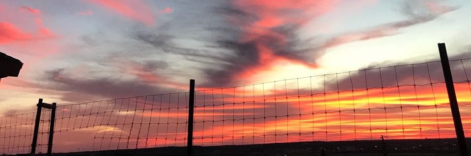 Alberto Benítez banner