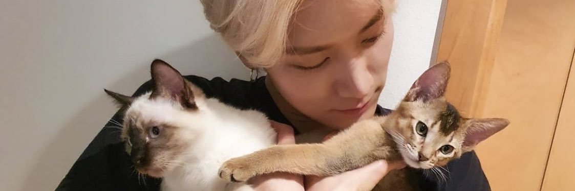 ten as cat 🐱 banner
