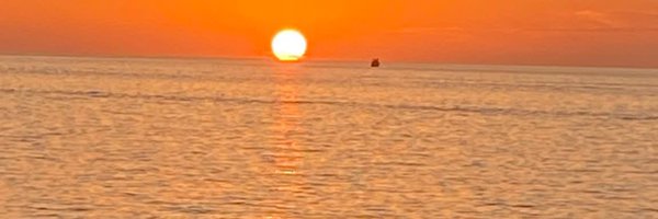 Blister4951 Profile Banner