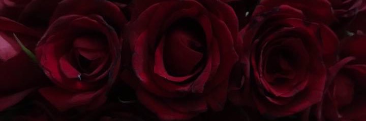 تلخ banner