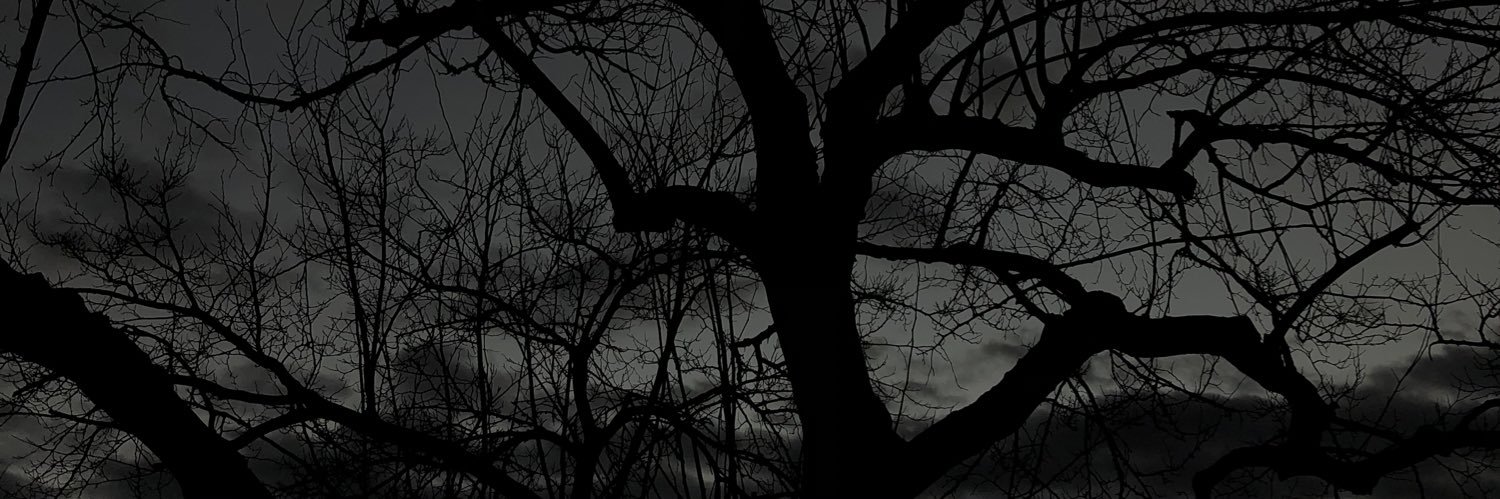 pinkdei's profile banner image