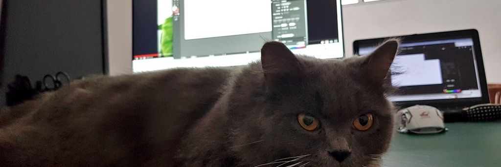 labibbenn's profile banner image