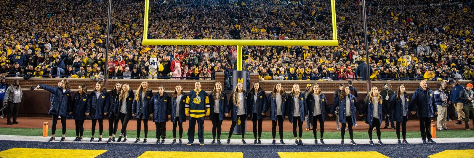 _maddieoreilly's profile banner image