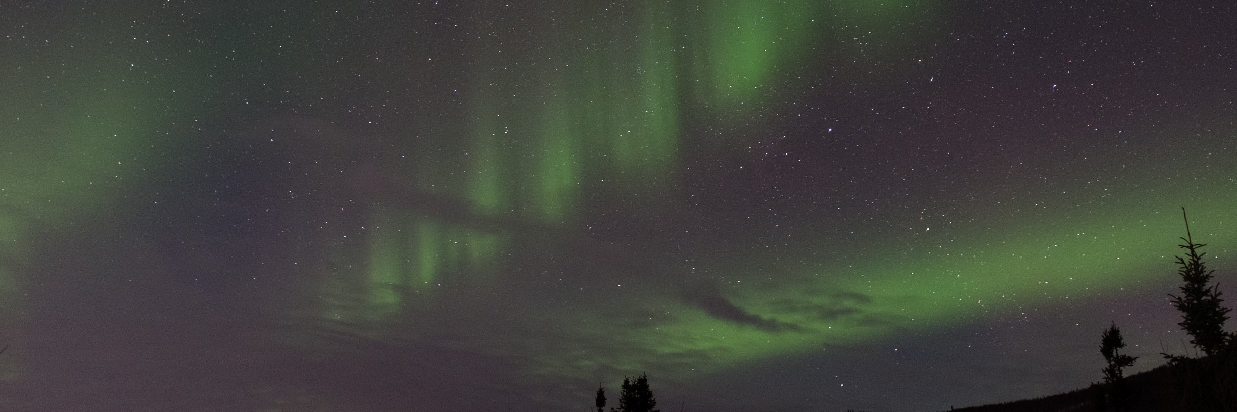 Tuo Peter Li, MD, PhD banner