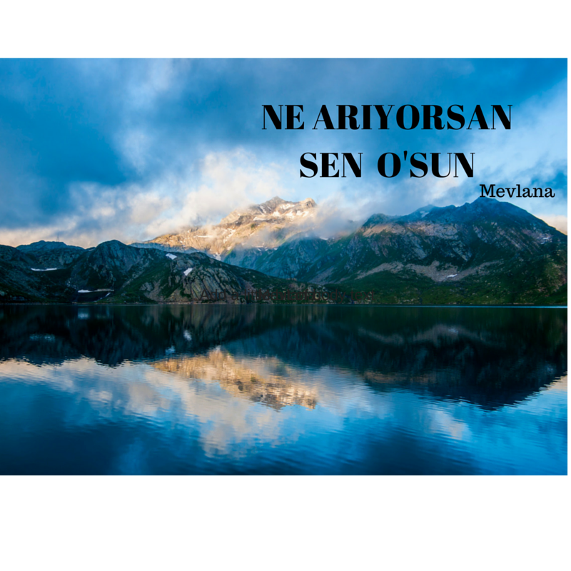 BinnsHande's profile banner image