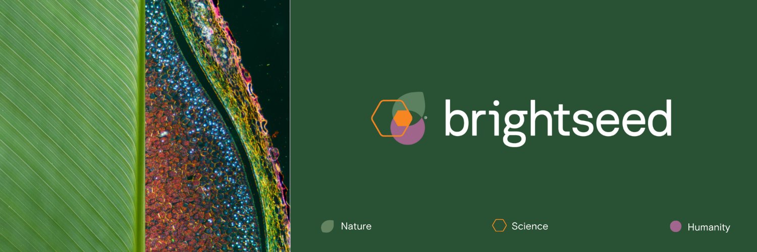 Brightseed banner