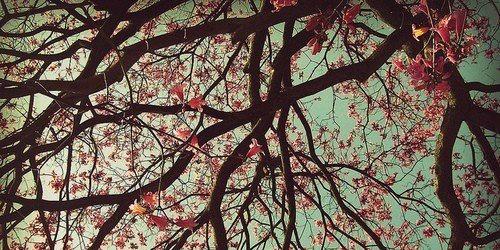 The_PinkPrint_'s profile banner image