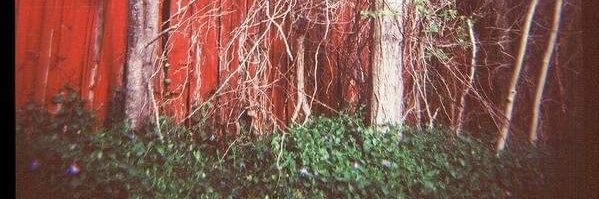boneorchards's profile banner image