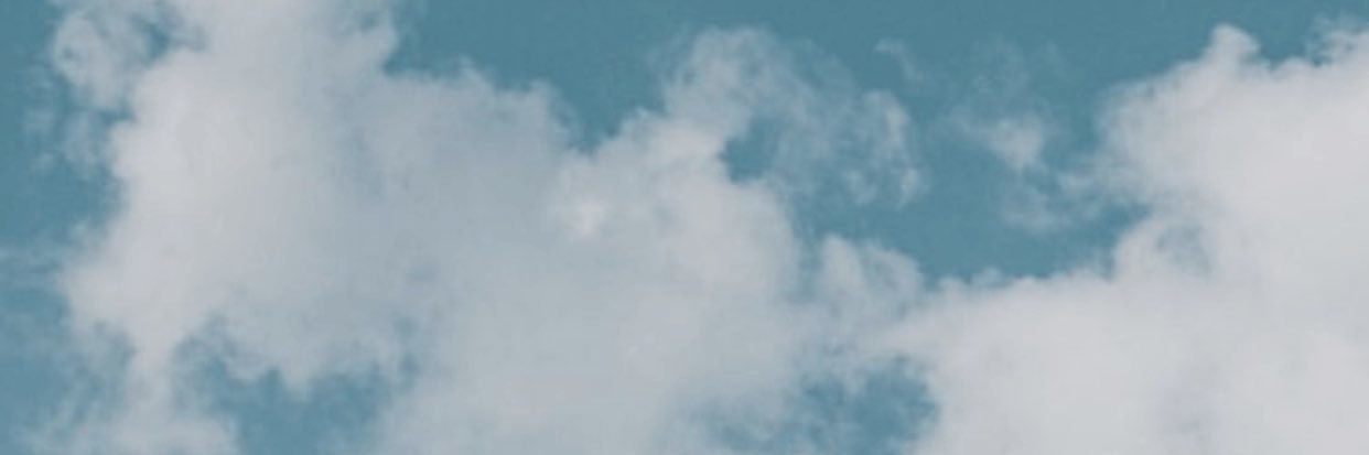 taraxharding's profile banner image