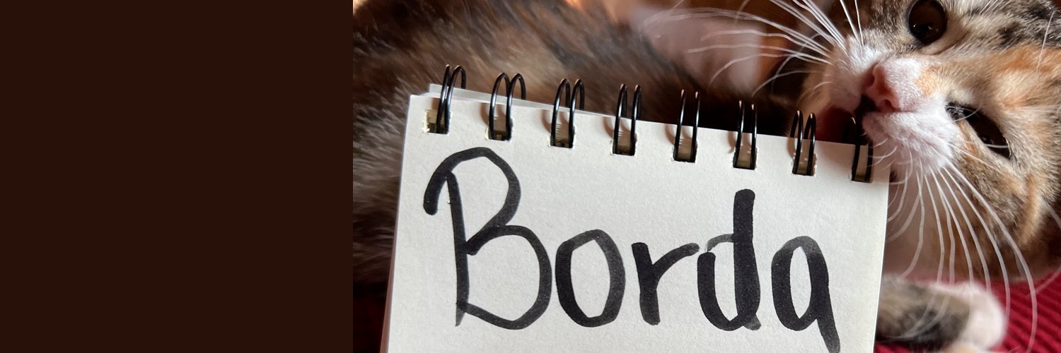 bordakito's profile banner image