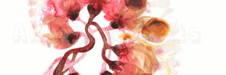 Maria Camila Bermudez MD's banner