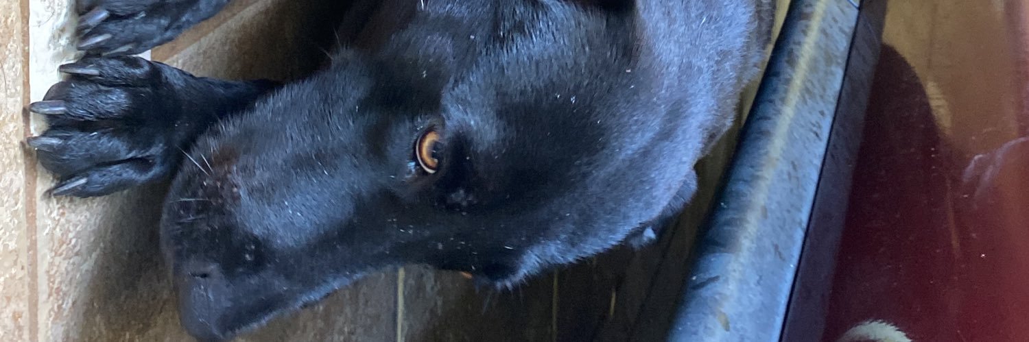 obejo_picture's profile banner image