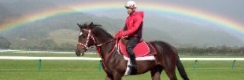 MTHケイムズ banner