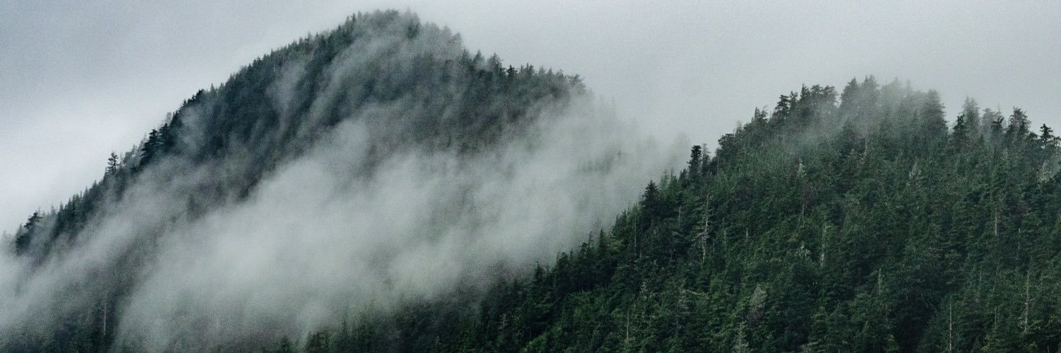 lyssaetheridge's profile banner image