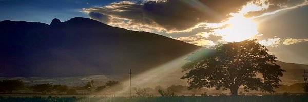 DrReyC Profile Banner