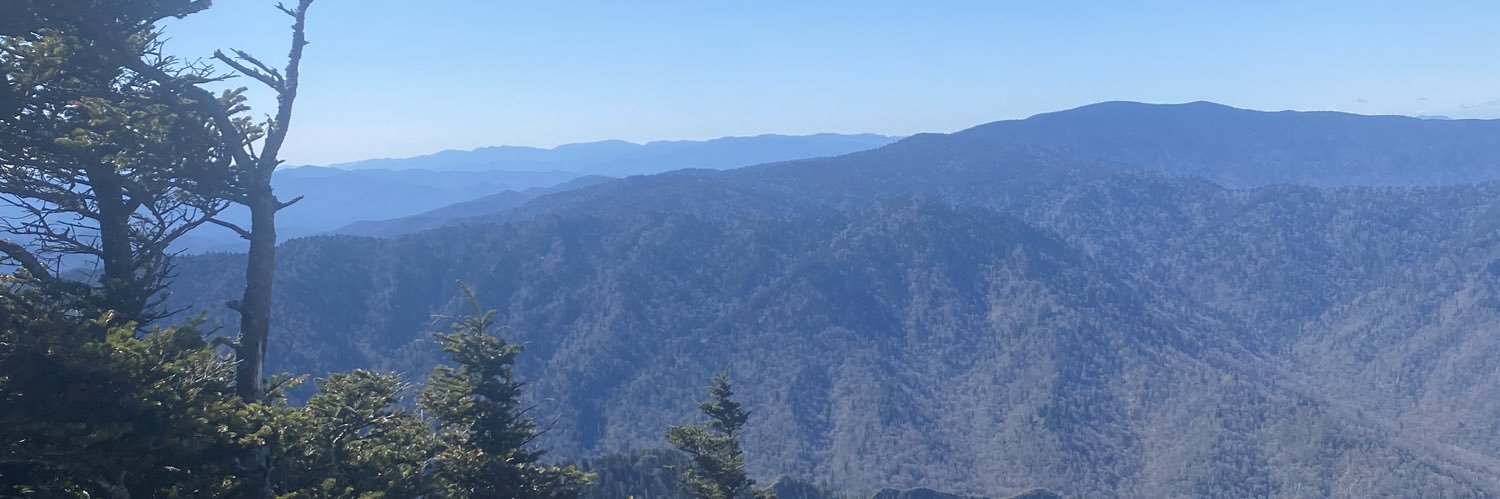 Coach Collins banner