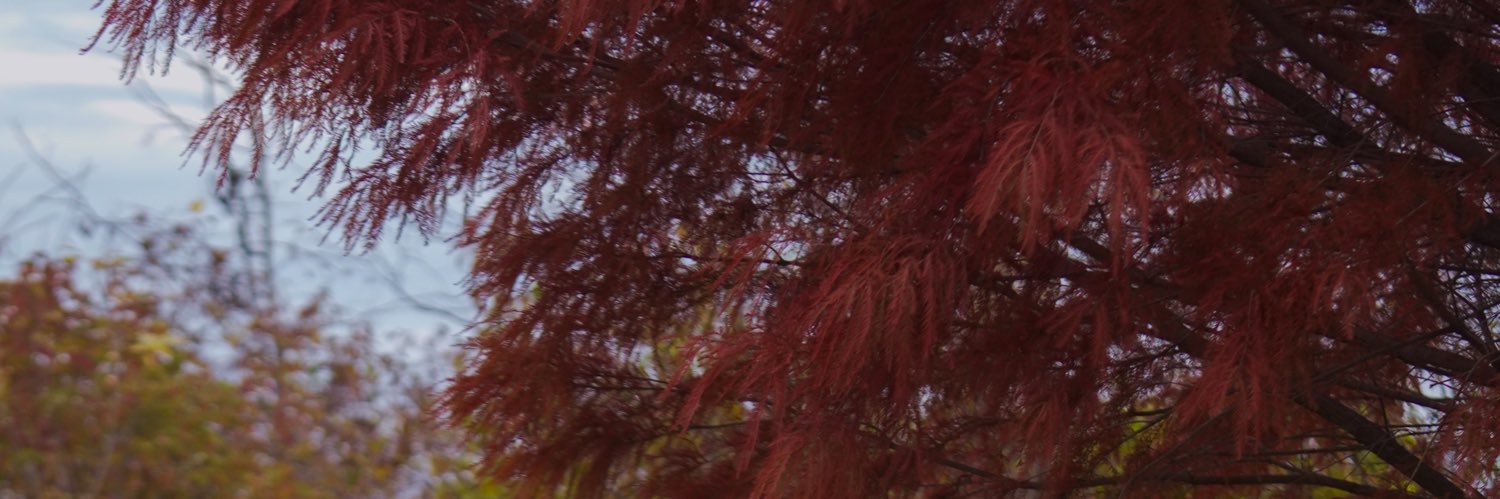 ADHDBree's profile banner image