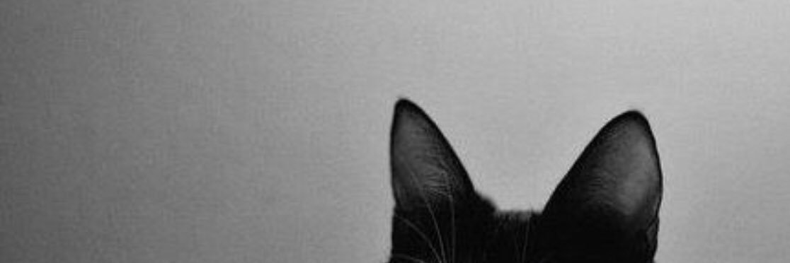 evroi's profile banner image