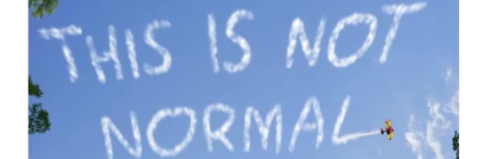 SnowJessi's profile banner image
