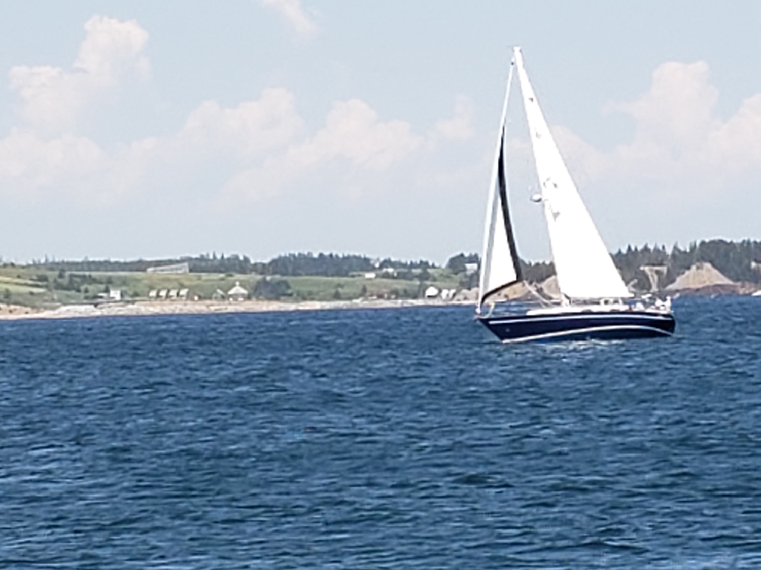 NickersonSouth's profile banner image