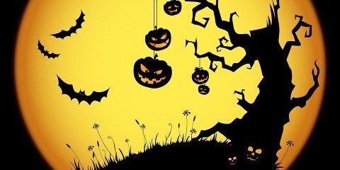 JustdadEd's profile banner image