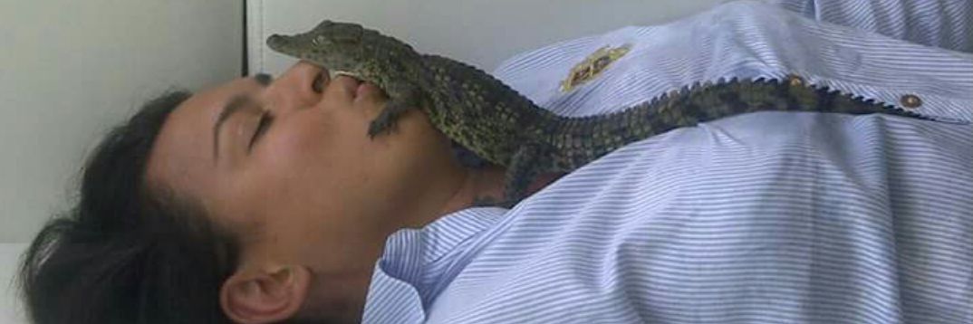 zzelihau's profile banner image