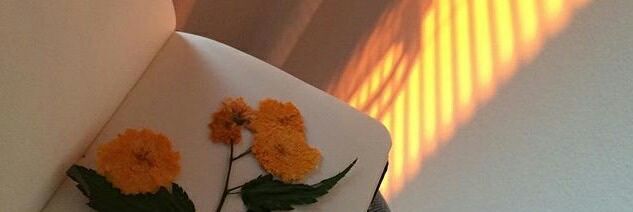 kwonjerkyong's profile banner image