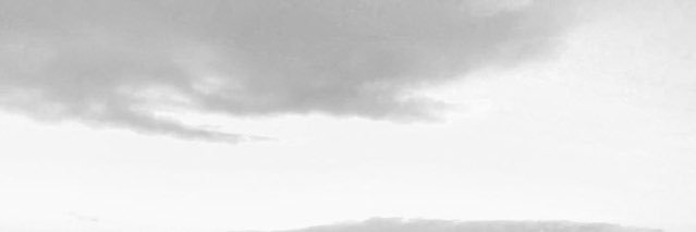 Stu banner