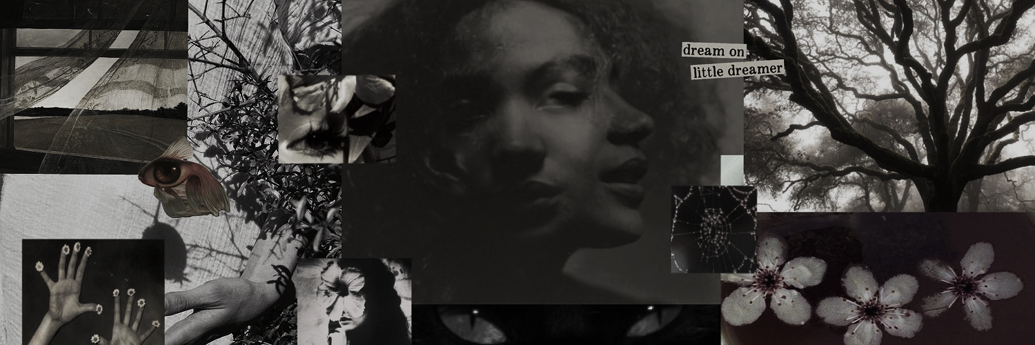 𝒕𝒉𝒆 𝒉𝒊𝒈𝒉 𝒑𝒓𝒊𝒆𝒔𝒕𝒆𝒔𝒔 banner