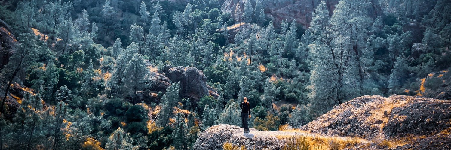 Sophie Bearman banner