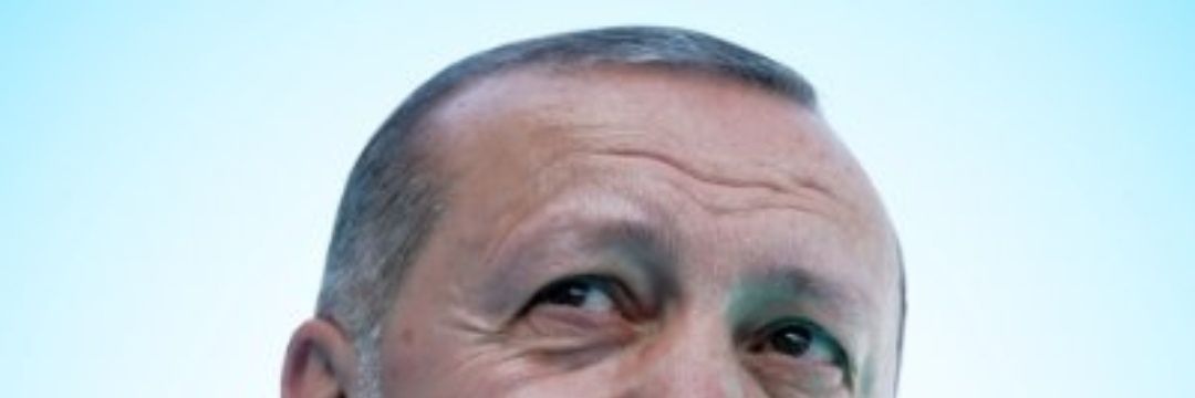gulcan_rac's profile banner image