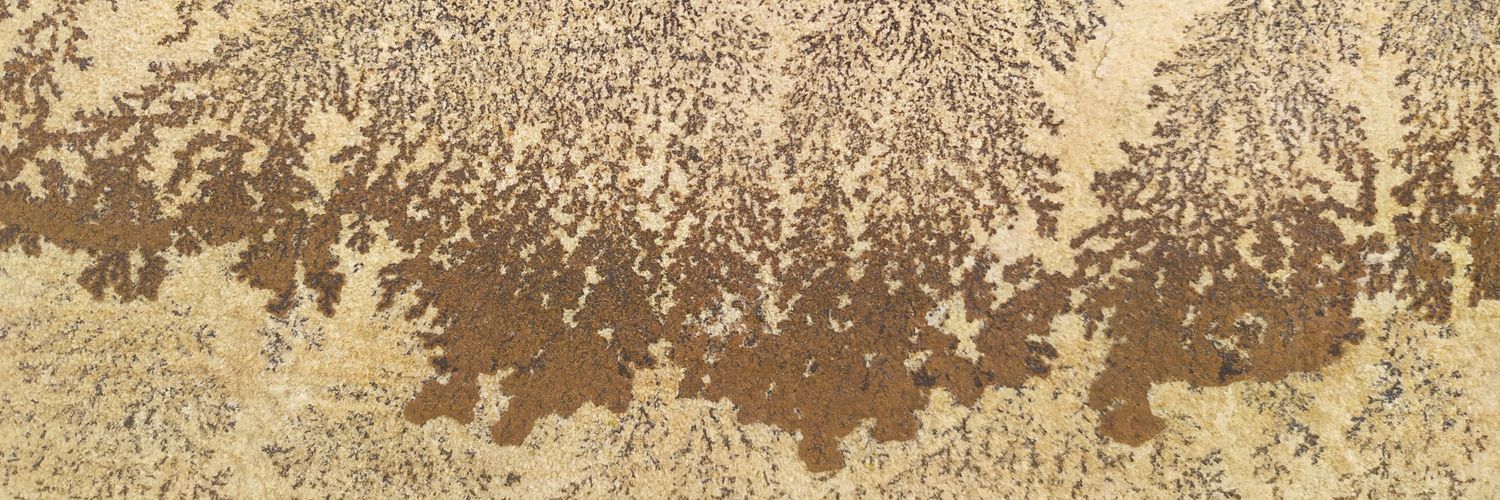 Isabel Etxeberria Ramírez banner