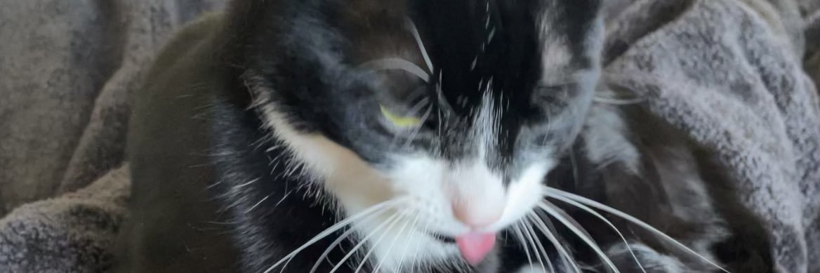 bastardjahn's profile banner image