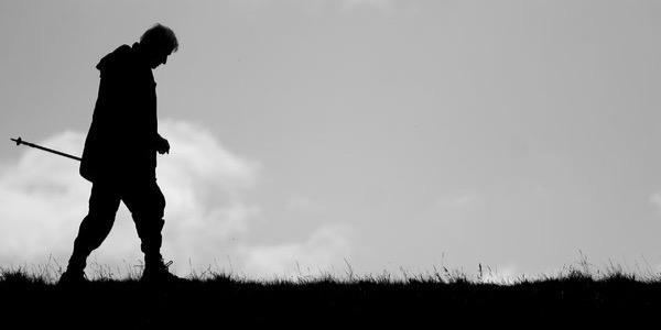 Showalker's profile banner image