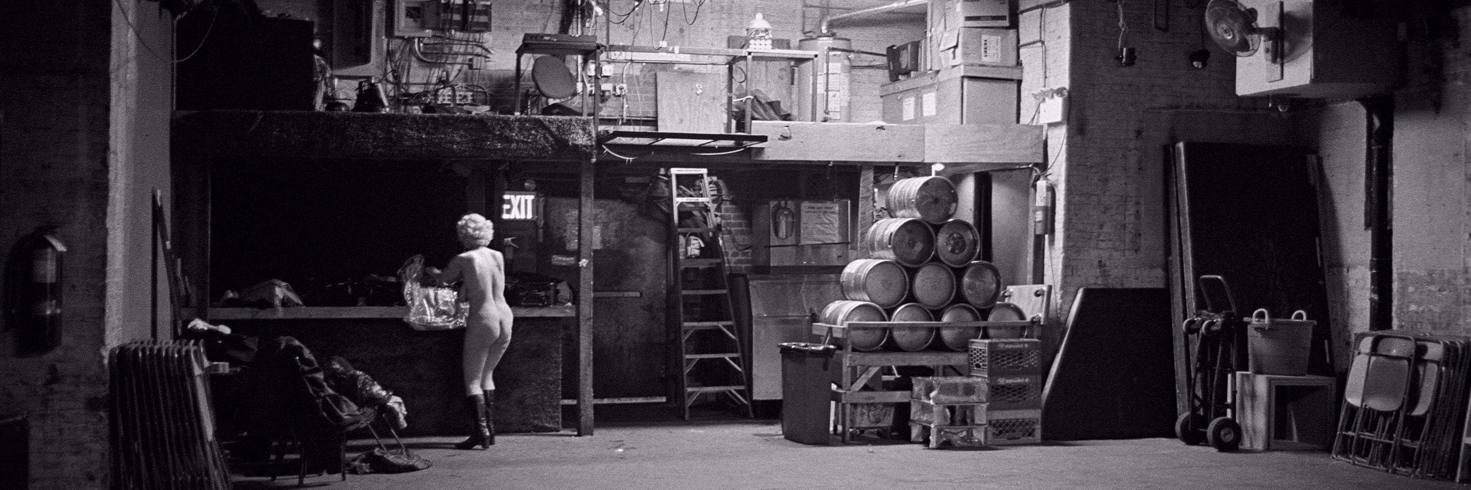 Elephant Publicity banner