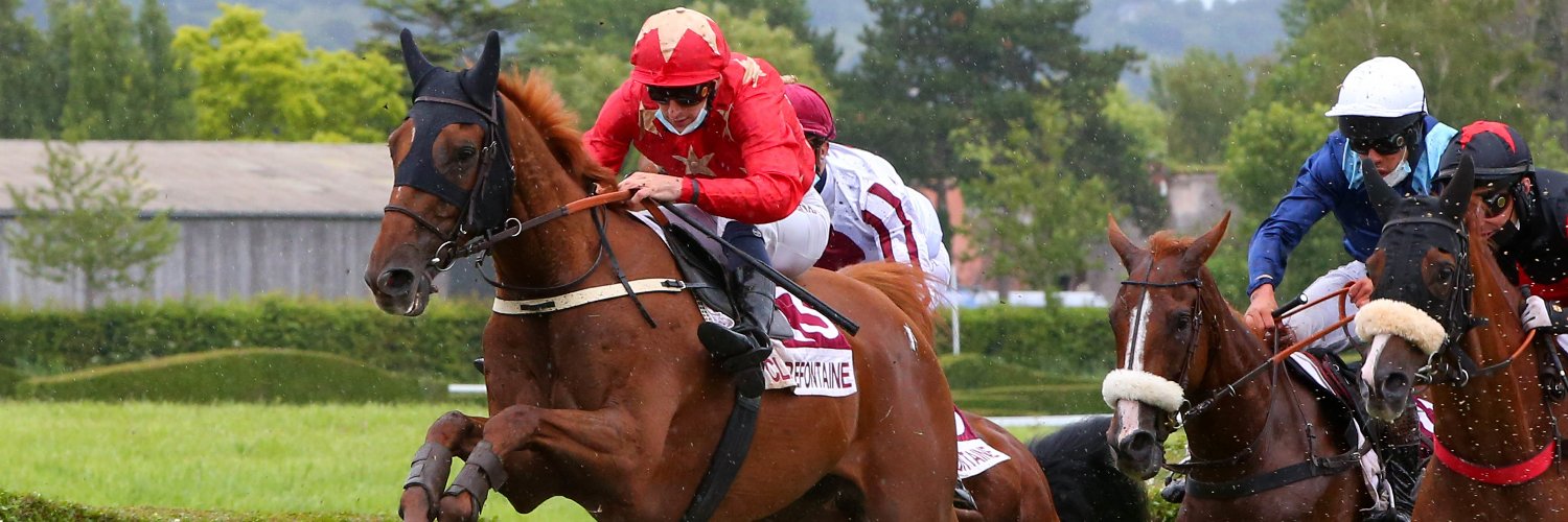 Alice Baudrelle banner