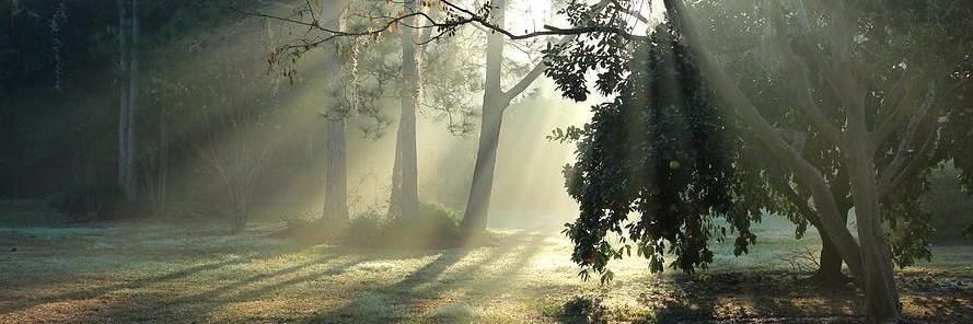 Doug Dauntless banner