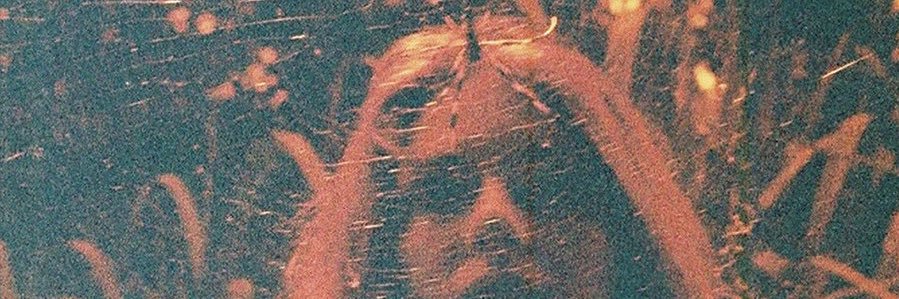 usapleasee's profile banner image