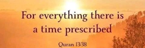 Mariam | Data analyst banner