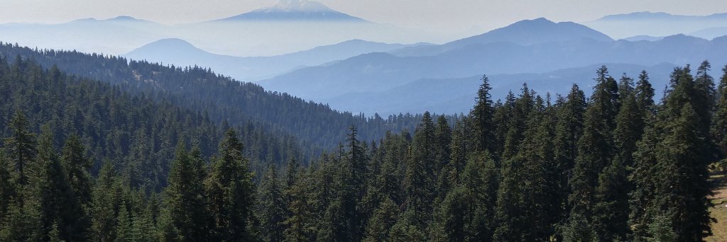 Catherinearendt's profile banner image
