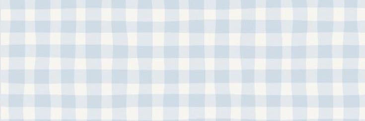 picnic‎ banner