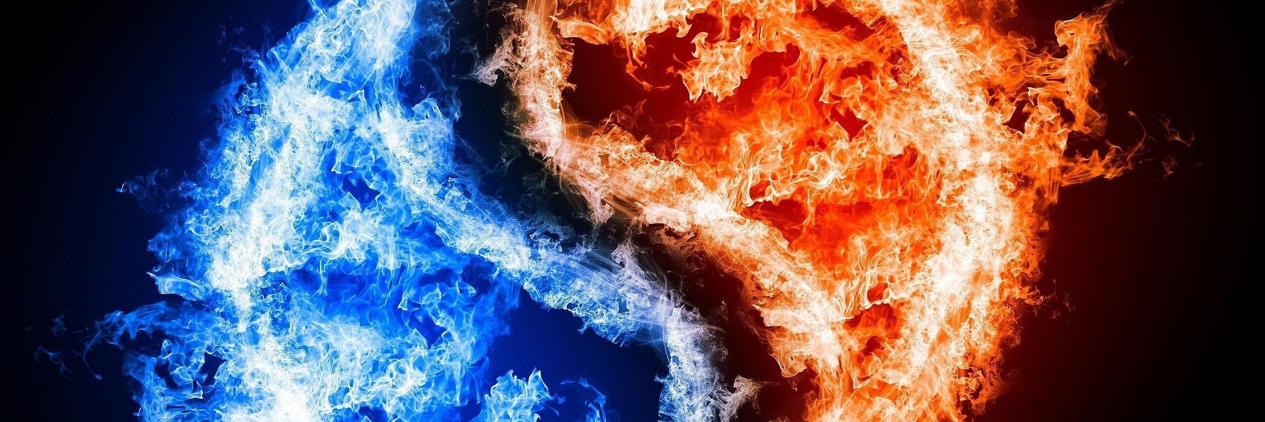 TanWar.D🍉🦉 banner