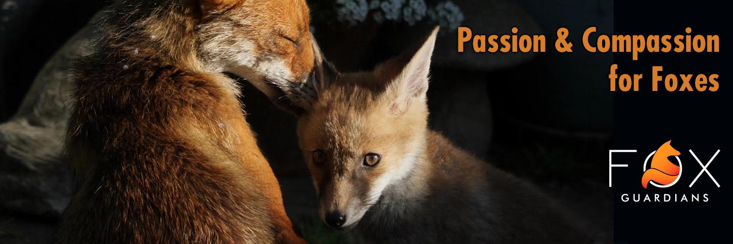 Fox Guardians's banner