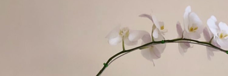matchacyra's profile banner image