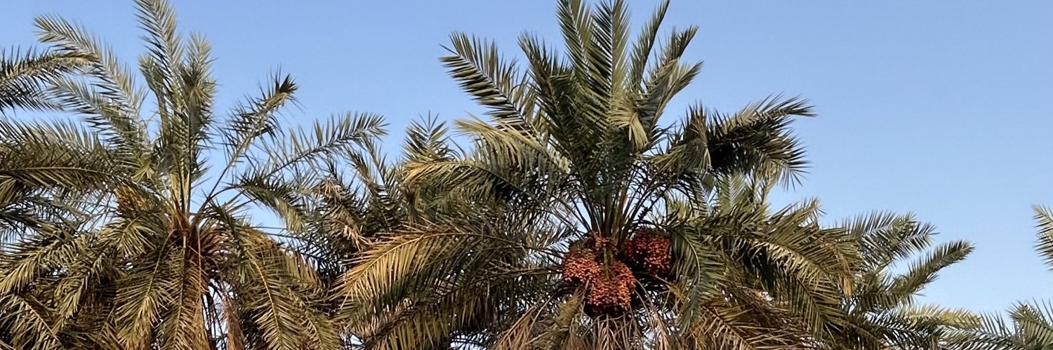 𝓏𝒶𝒾𝓃𝒶𝒷🝮 banner