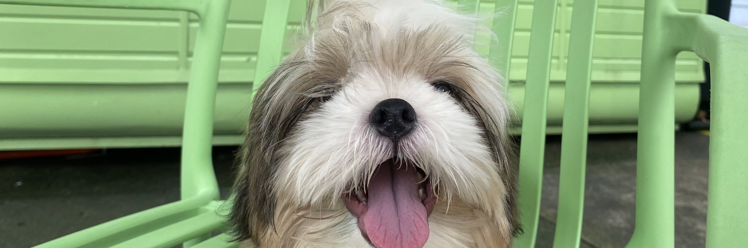 Haringfelix's profile banner image