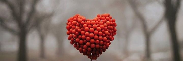 neidinha1982's profile banner image