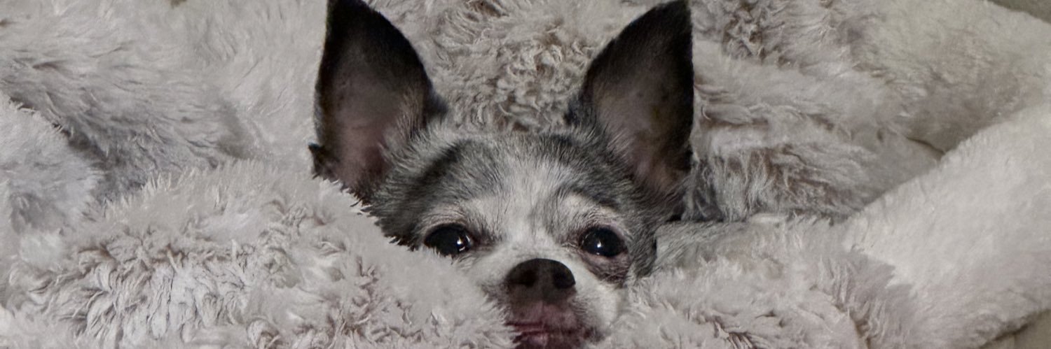 _dreaanicole's profile banner image