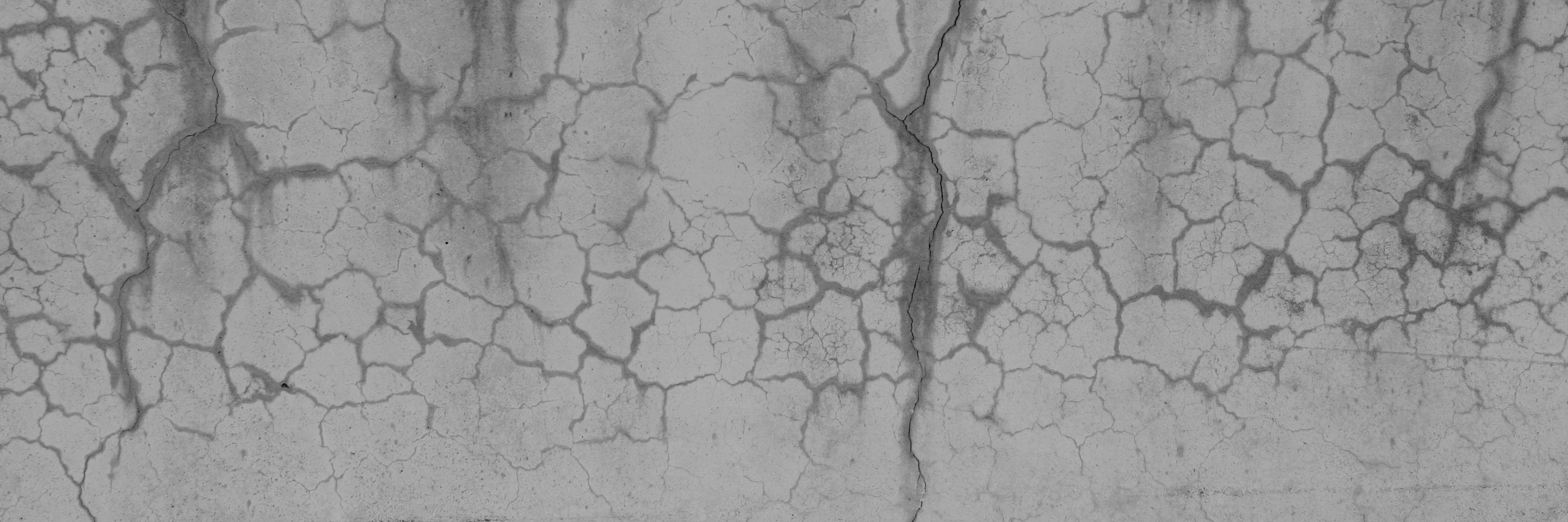ryanjanecek's profile banner image